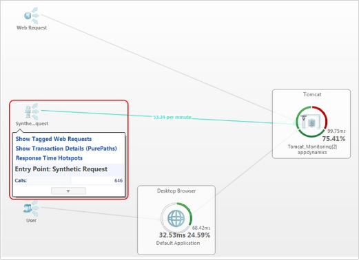 Monitoring Options in Dynatrace