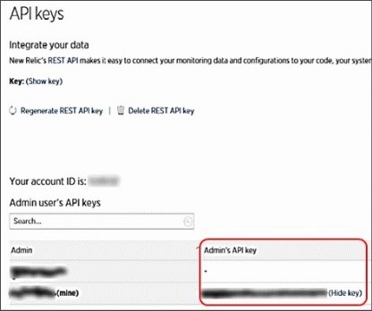 *Figure 248: New Relic – Displaying the API Key value*