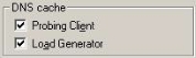 DNS Cache Properties