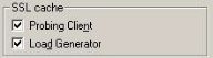 SSL Cache Properties